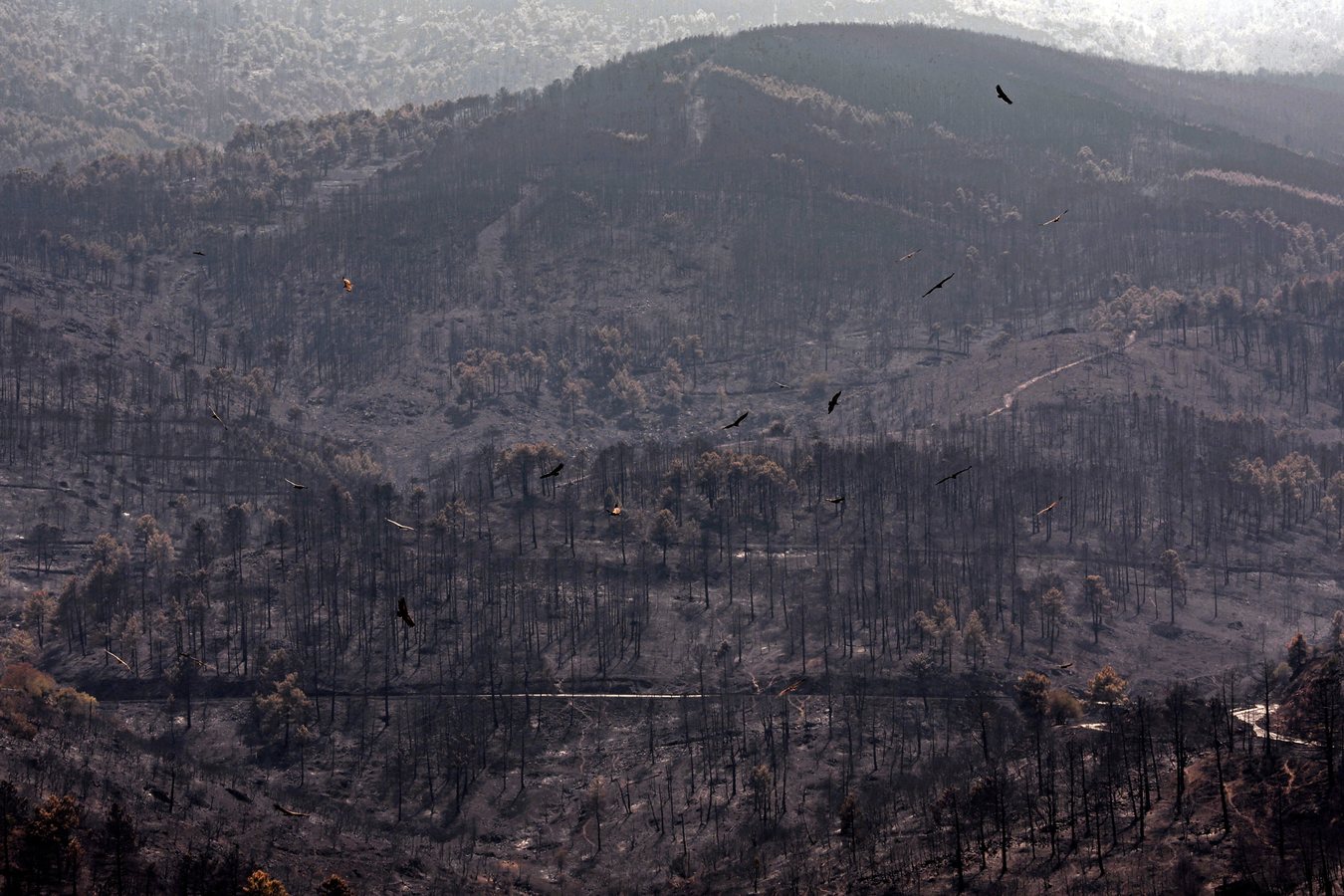 Le gouvernement espagnol lève l'urgence nationale pour l'incendie de Madrid, un nouveau feu à la frontière portugaise