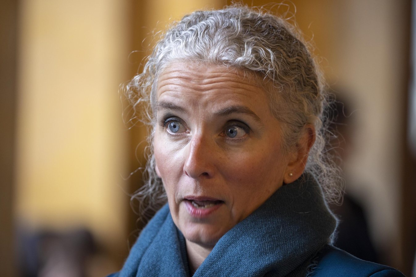 Bousculades dans des Lidl pour des ventilateurs: la députée Delphine Batho saisit la Répression des fraudes