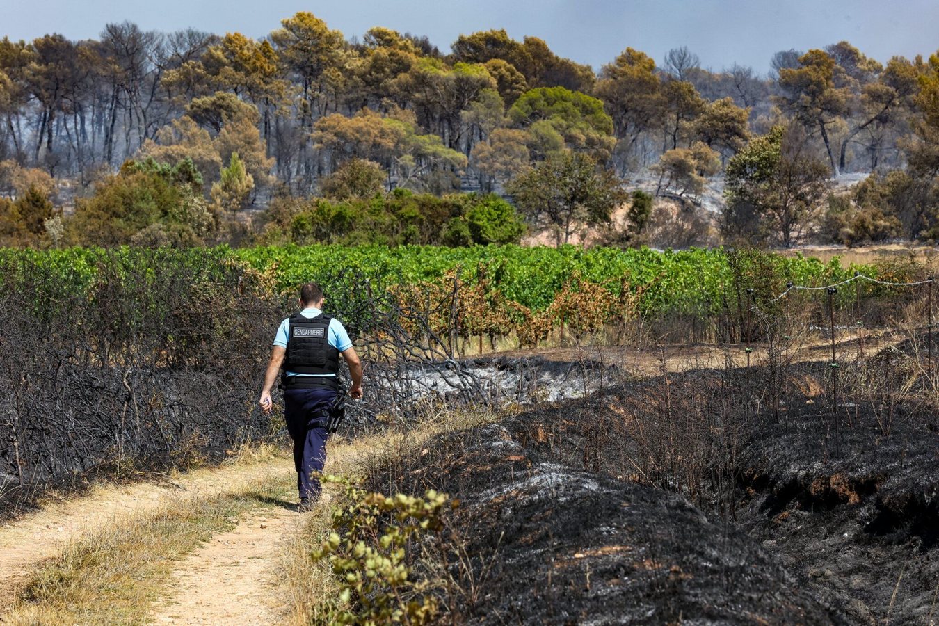 Série d'incendies suspects près de Montauban: six départs de feu simultanés et 16 hectares brûlés