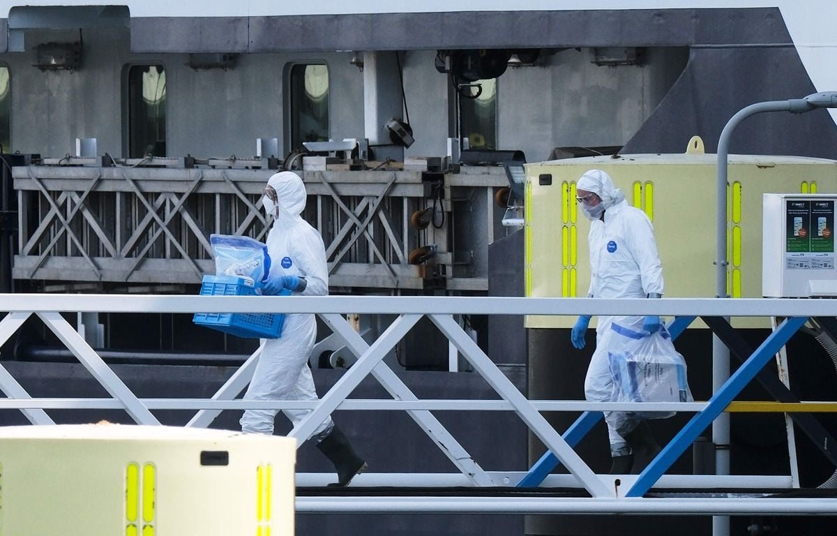 Hantavirus: La Française contaminée au printemps sur le MV Hondius est sortie de réanimation