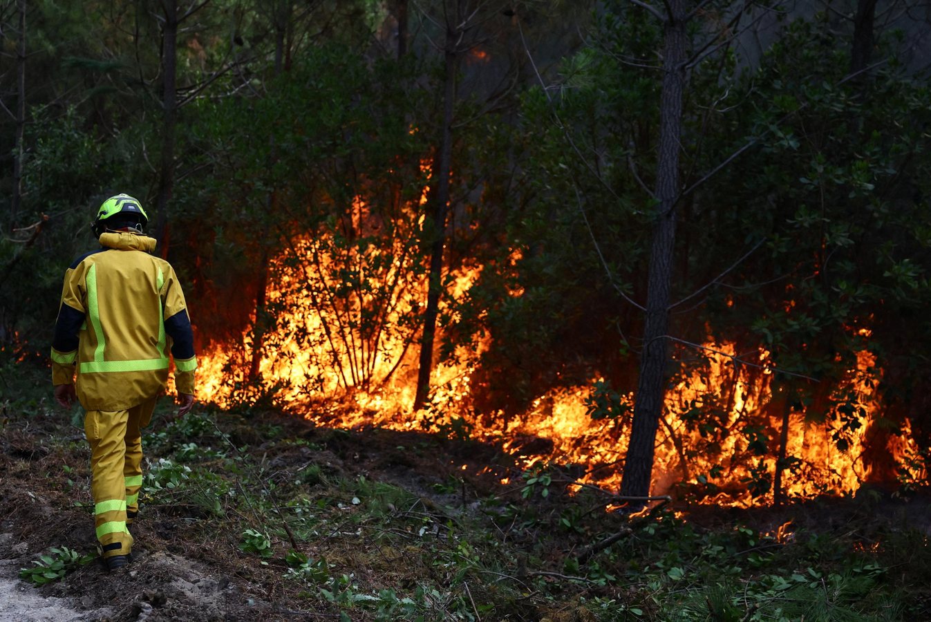 Incendies en France: Laurent Nuñez annonce 275 interpellations, la situation reste « compliquée »