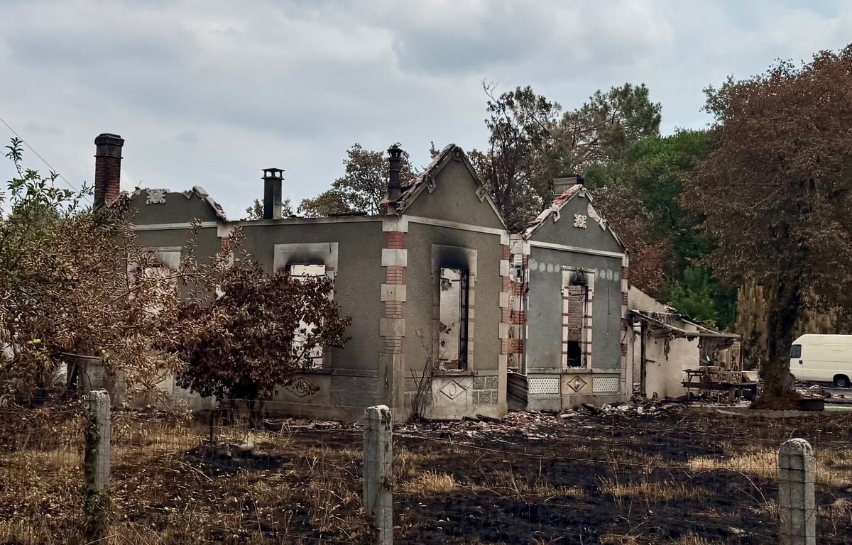Le village du Porge, ravagé par l’incendie en Gironde, lance un appel à l’aide